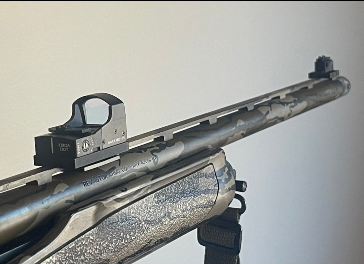 Sights - Cowitness Backup